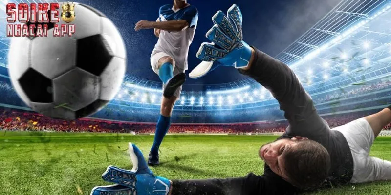 Cách đọc kèo cực chuẩn từ những chuyên gia