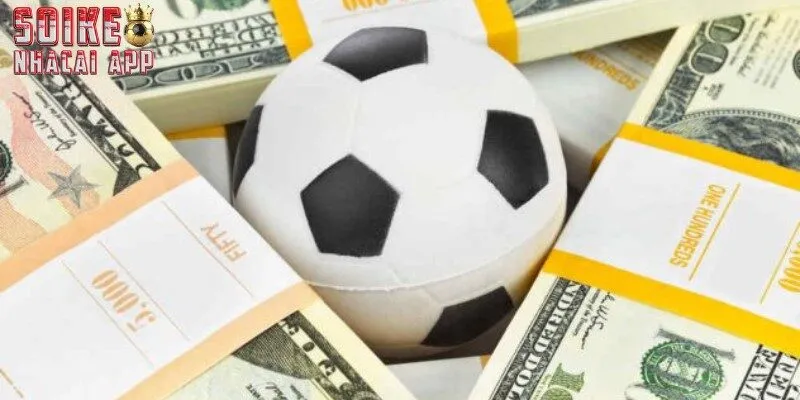 Chính sách sử dụng và thu thập thông tin là gì?