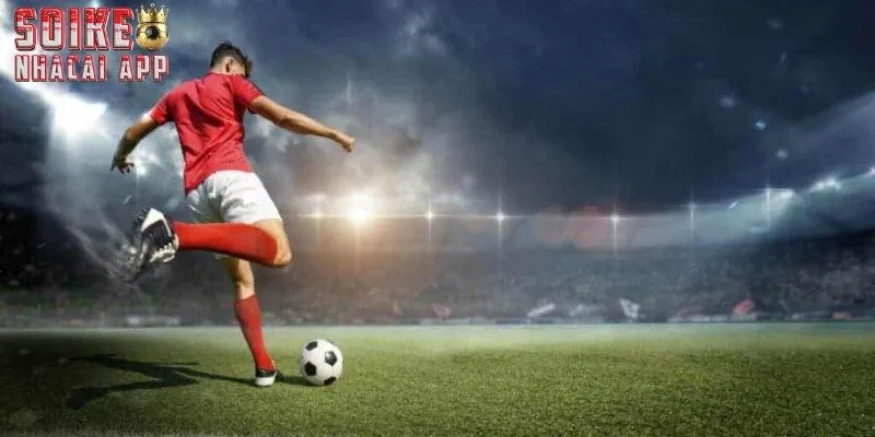 Một số nét sơ lược về điều khoản sử dụng Soi Kèo Nhà Cái