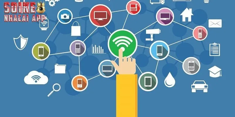 Cần đảm bảo kết nối để Live Score hiển thị diễn biến mới nhất