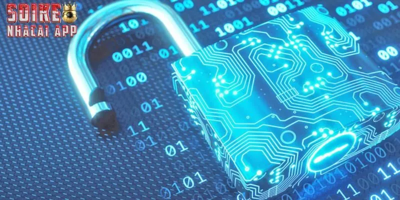 Bảo mật tại thương hiệu cực kỳ cao, cam kết không làm lộ thông tin