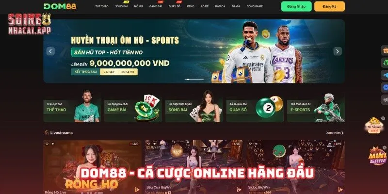 nhà cái dom88
